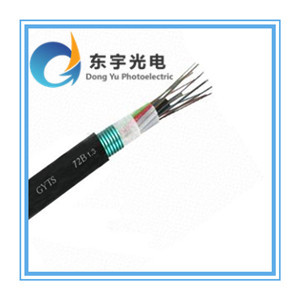 江苏东宇光电科技西安GYTS-8B1铠装光缆热销，助力光纤通信网络发展
